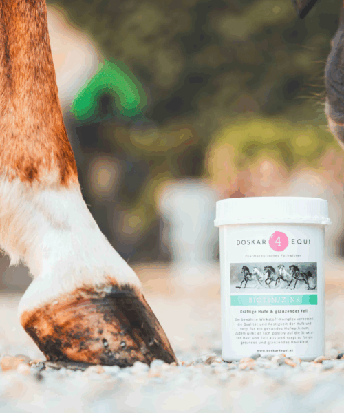 Alternative view of Biotin/Zink
