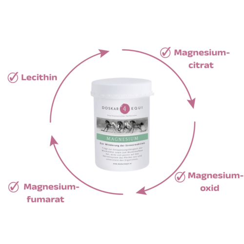 Magnesium