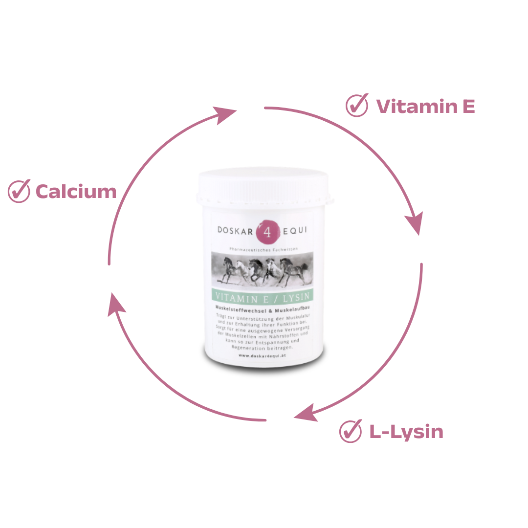 Vitamin E & Lysin - Image 2