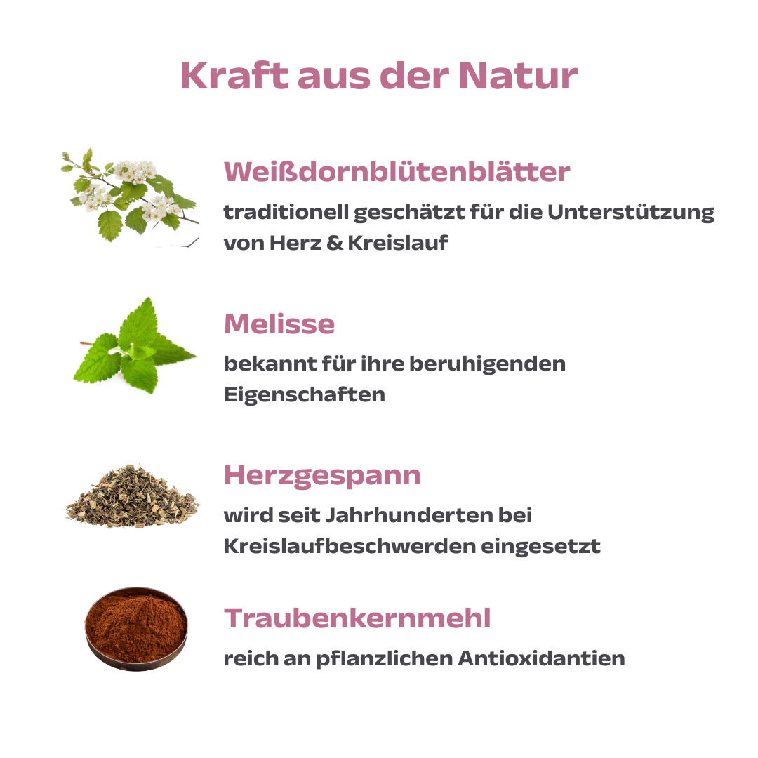 Circulatio 1.000 g - Image 4