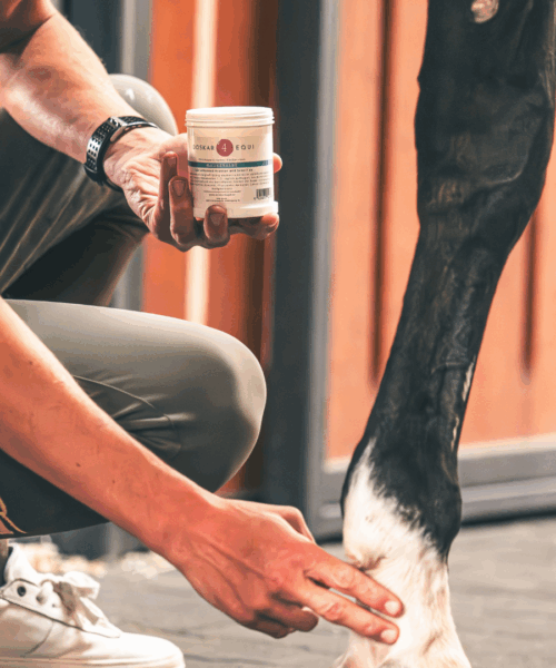 Maukesalbe-Anwendung