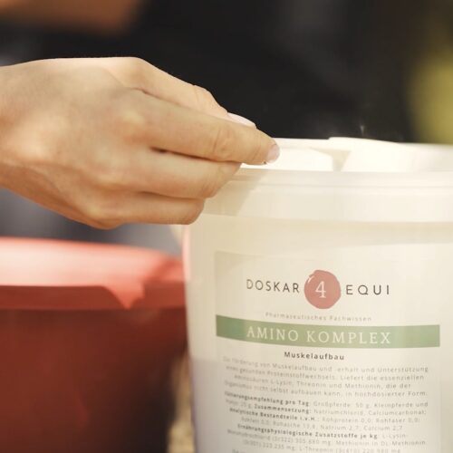 Amino Komplex Pferde