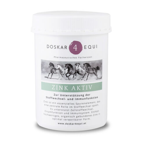 Zink Aktiv