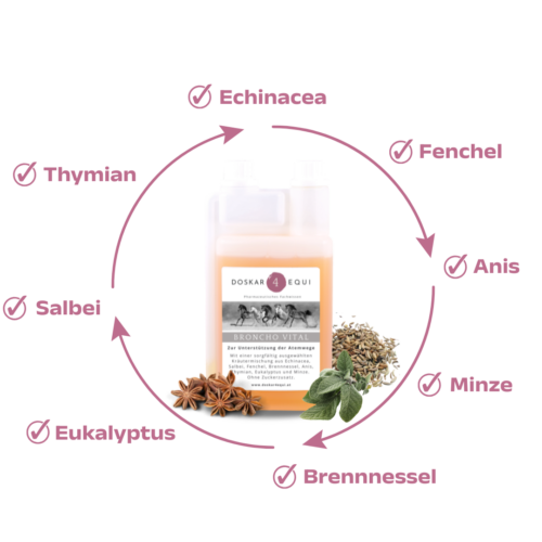 Alternative view of Broncho Vital