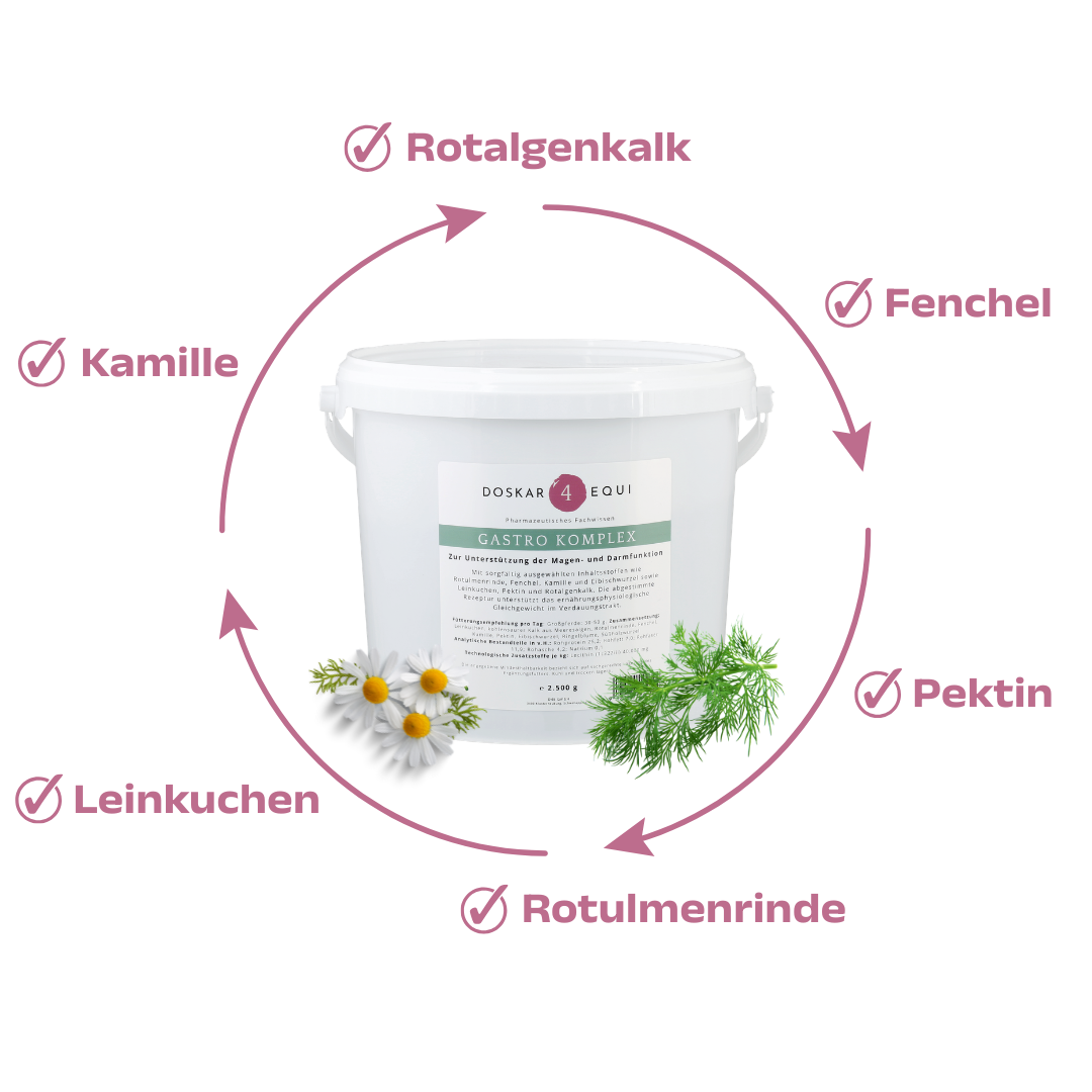 Gastro Komplex 2.500 g - Image 2