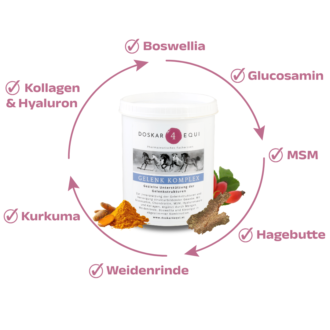 Gelenk Komplex - Image 2