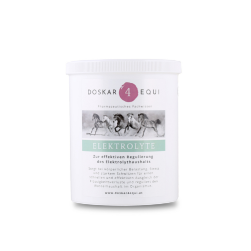 Elektrolyte 1.000 g