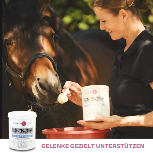 zusatzfutter gelenke pferd