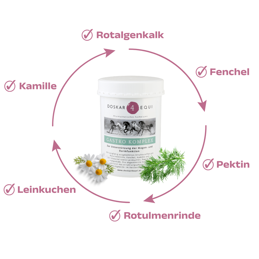 Gastro Komplex 750 g – Bild 2