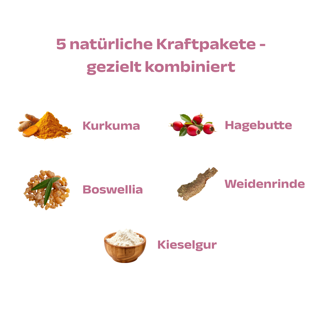 Gelenk Komplex - Image 4